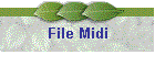File Midi